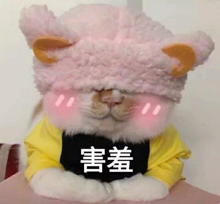 DƬ